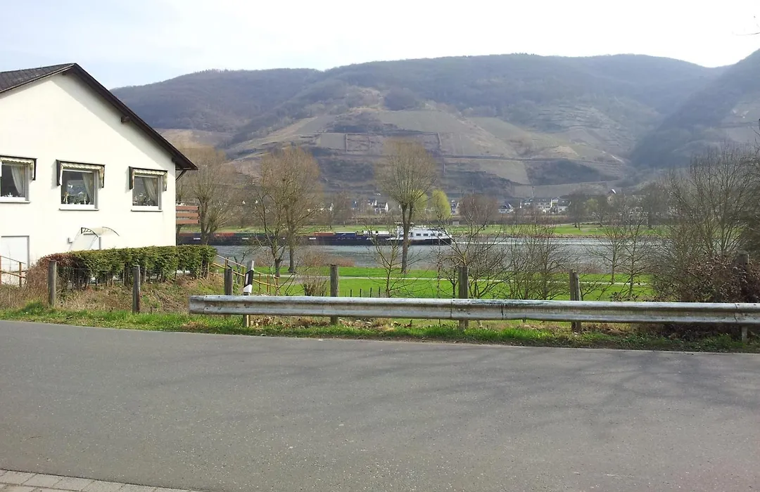 Hotel Zur Brücke-1