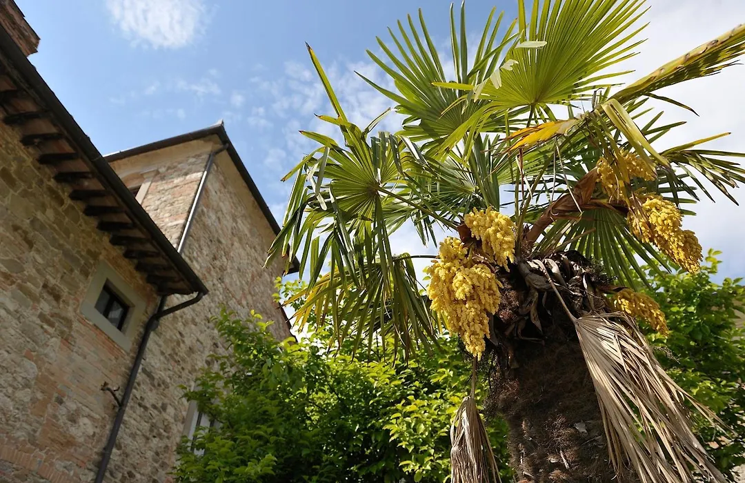 Villa Medicea Lo Sprocco-1