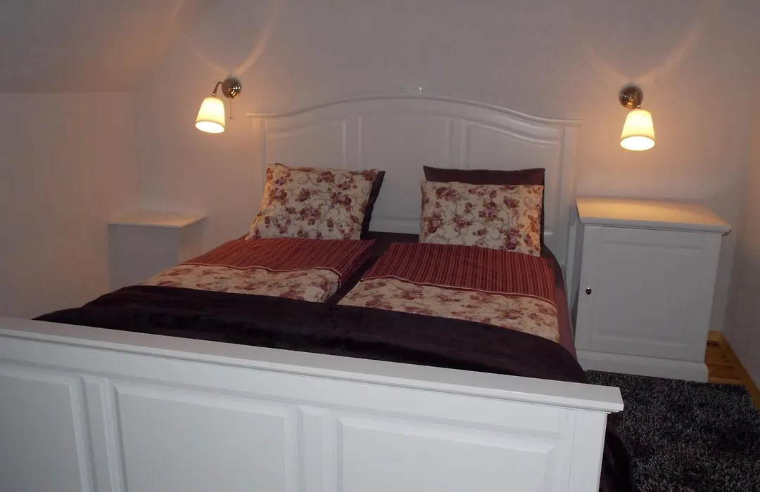 Guesthouse Stari Tisler-1