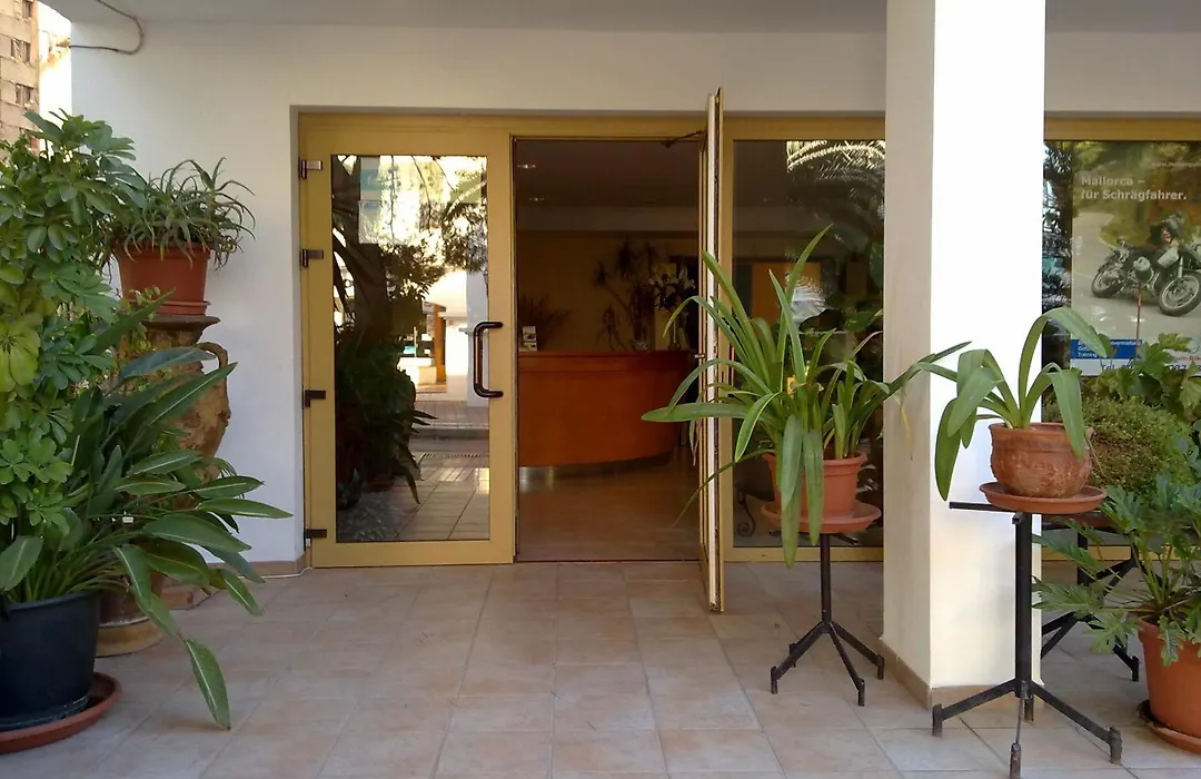Hostal Leo D'Or-1