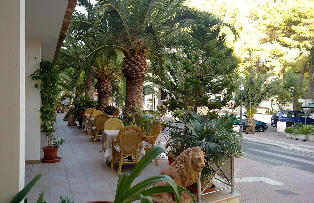 Hostal Leo D'Or-1