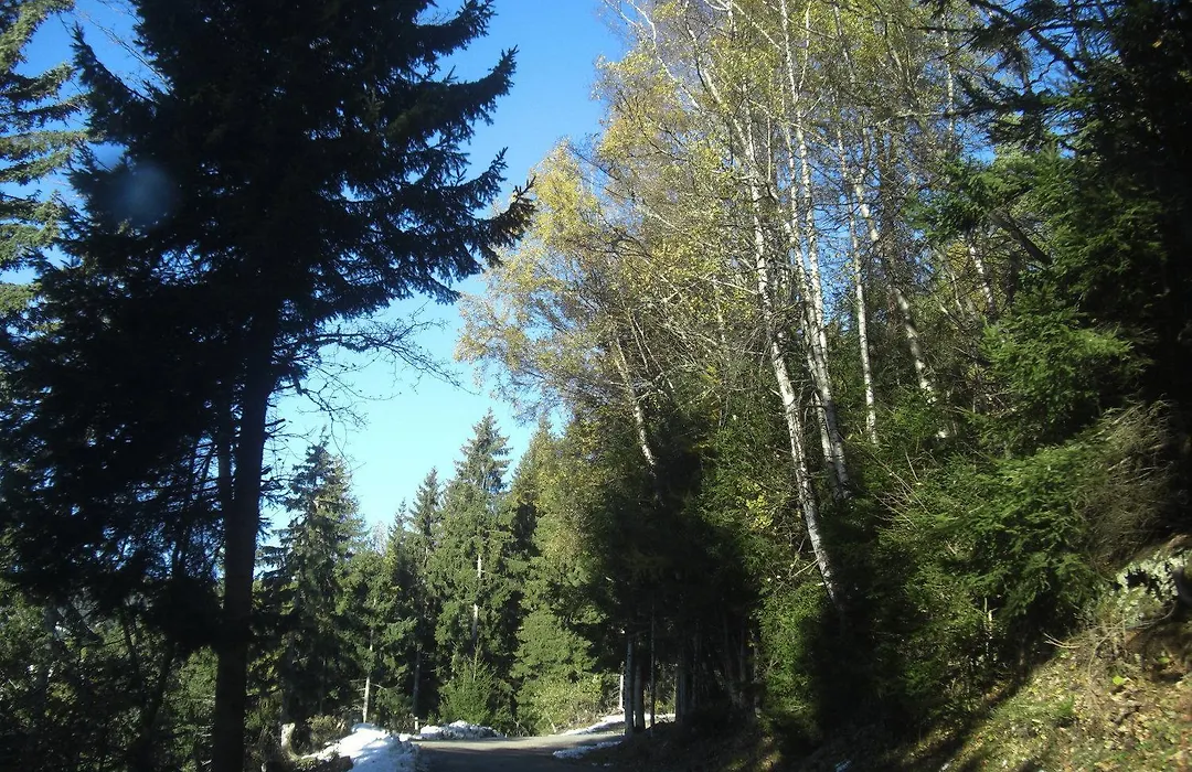 Gasthof Laggner-1