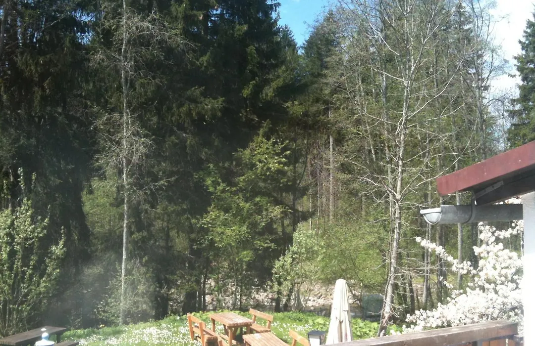 Landgasthof Zum Alten Reichenbach-1