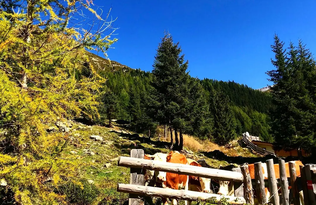 Berghaus Aussergschloess-1
