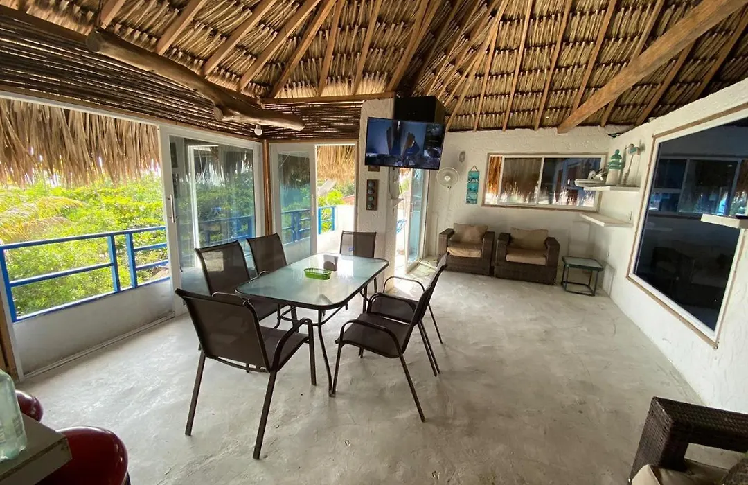 Hostal Coral Blue-1