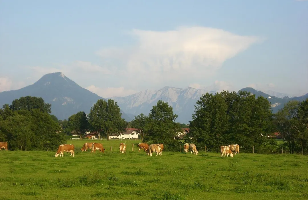 Pension Kellerer-1