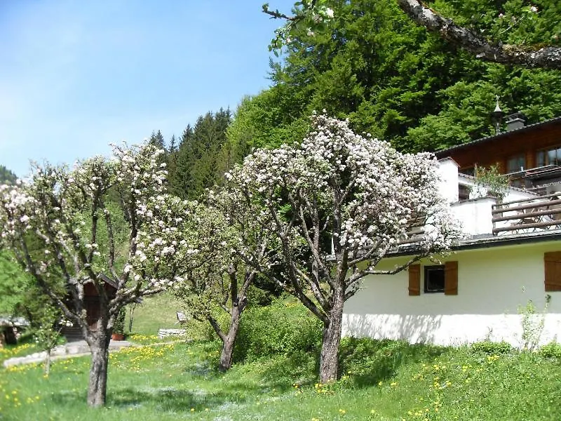 Gasthaus - Pension - Café Dörfl-1