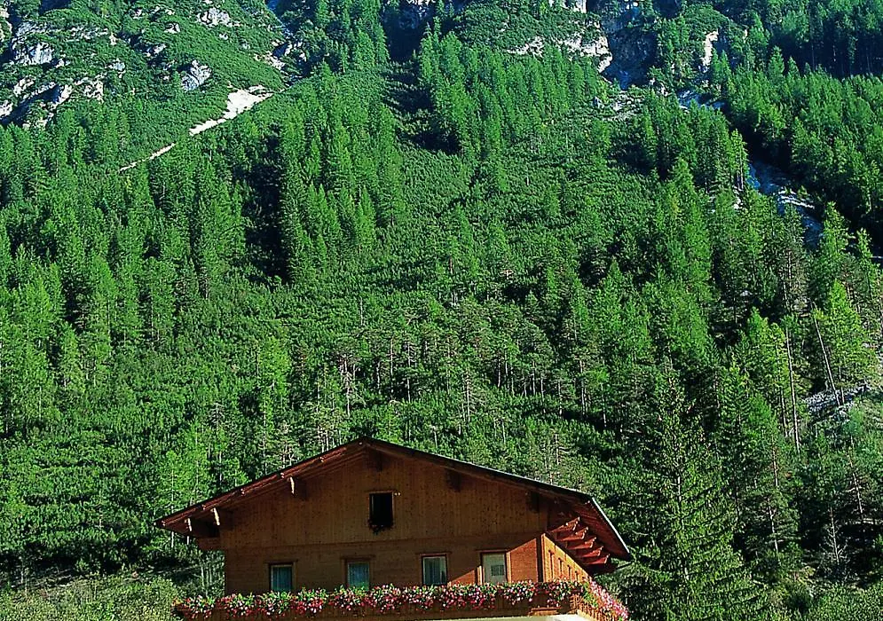 Pension Nina & Gasthof Alpenrose-1
