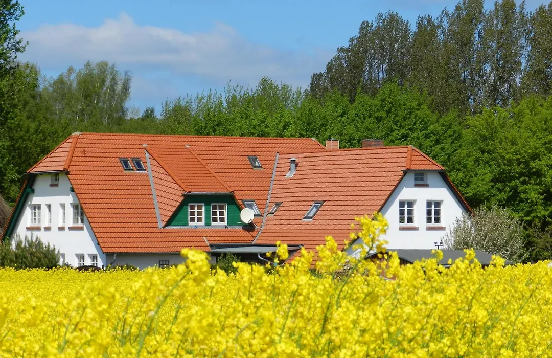 Landhaus Alt Reddevitz-1