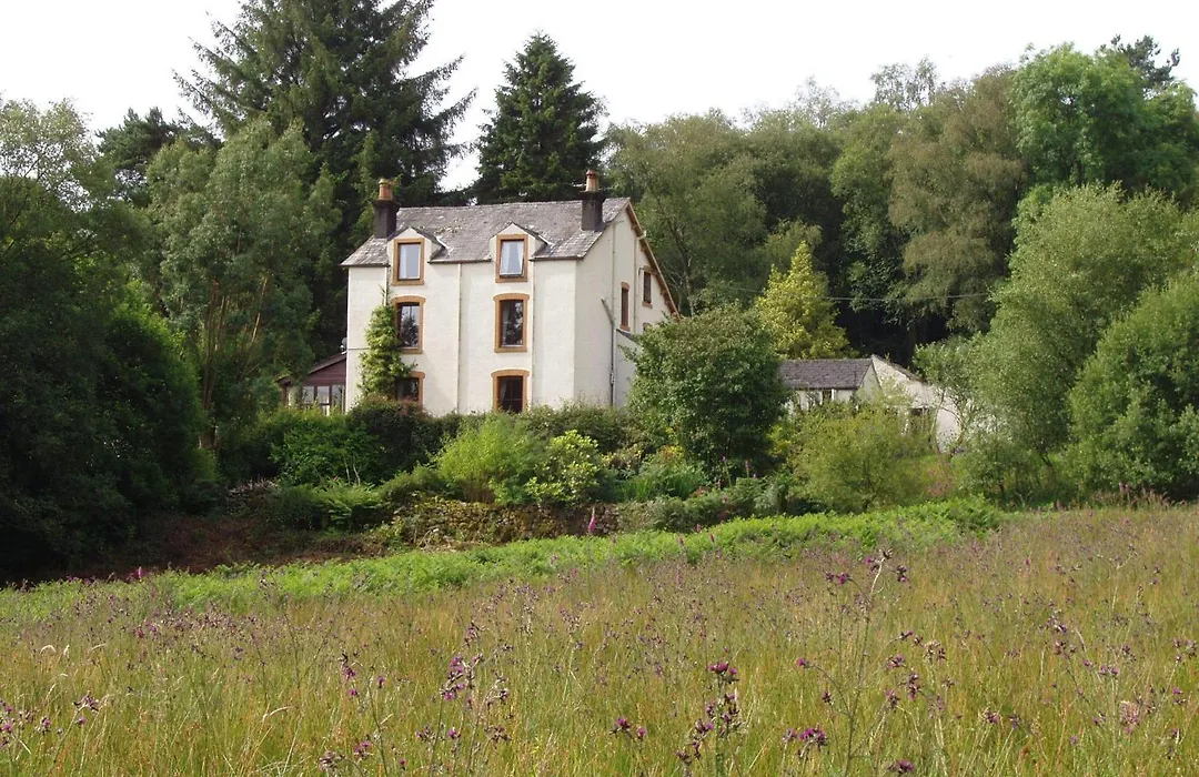 Forest How Guest House-1