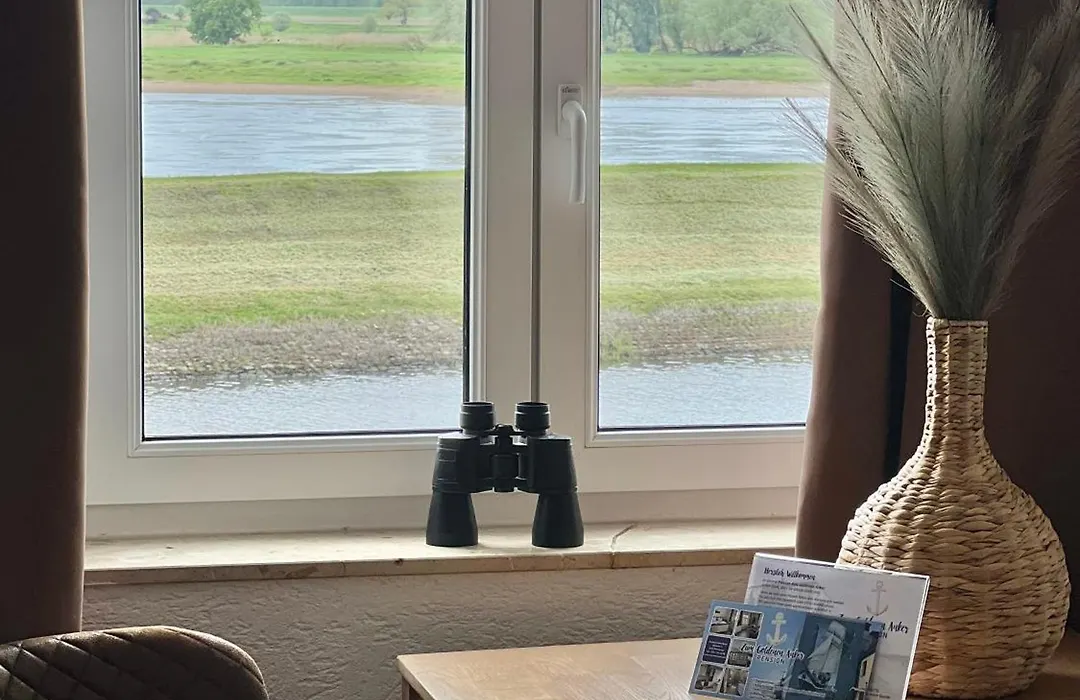 Pension zum goldenen Anker direkt an der Elbe-1