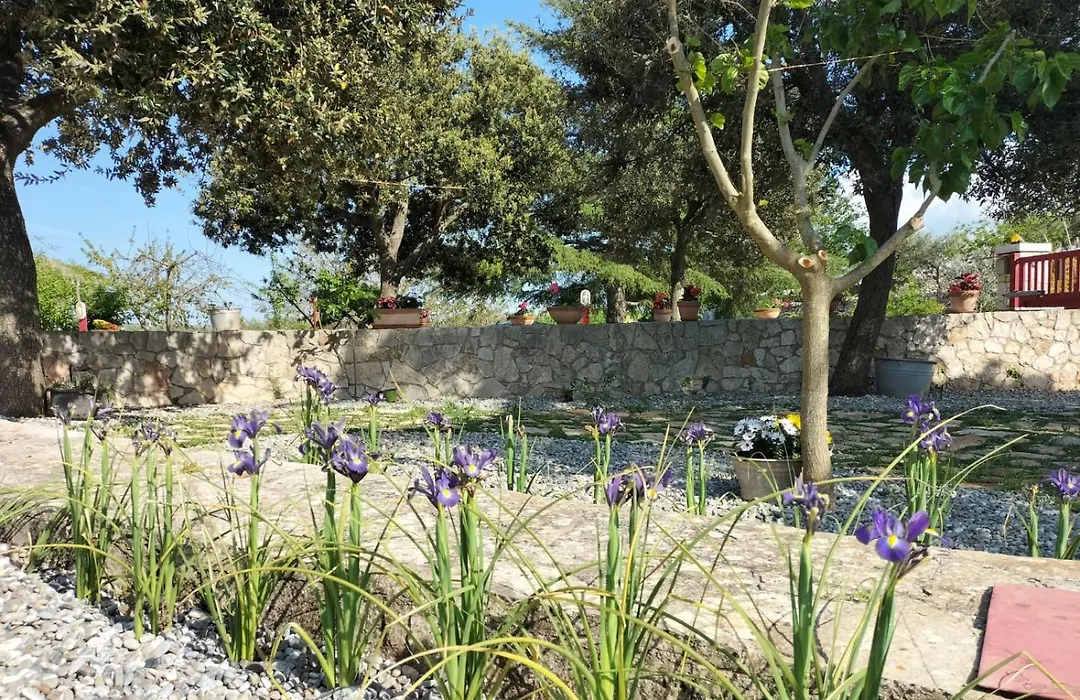 Il giardino delle Fate-1