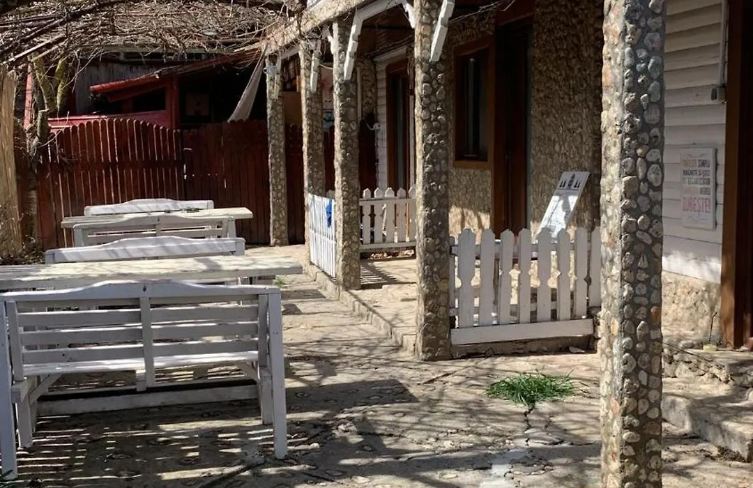Dharma House-1
