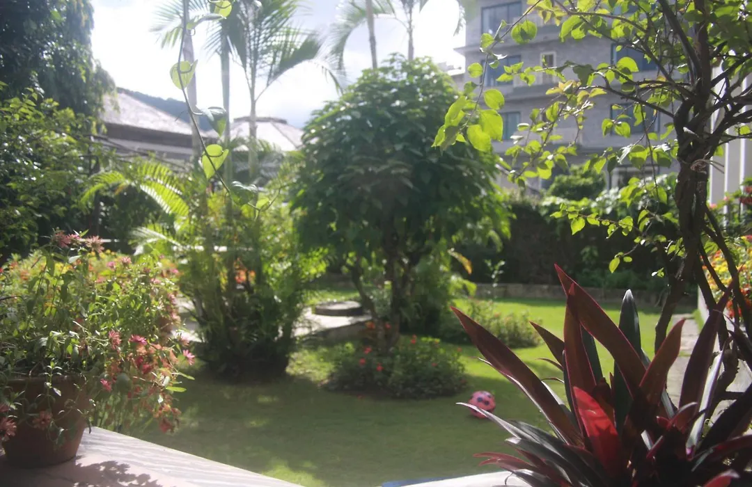 Vagabond Guest House-1