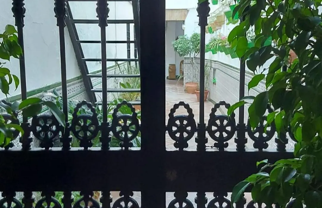 Patio Cordobes-1