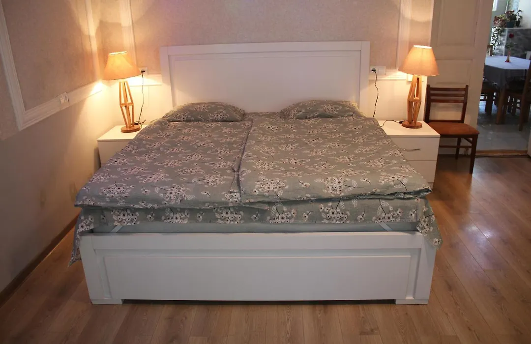 Guesthouse Levani-1