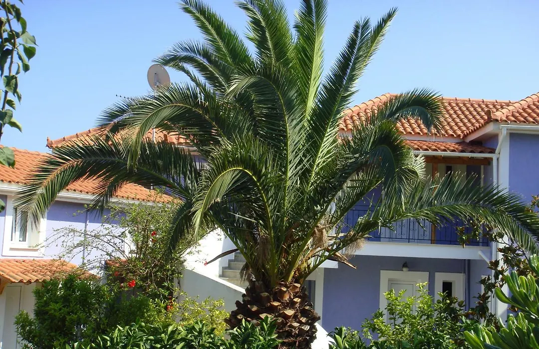 Villa Eliza-1