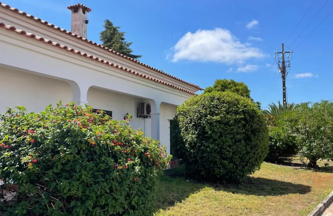 Quinta Das Palmeiras - Casa No Campo Com Piscina-1