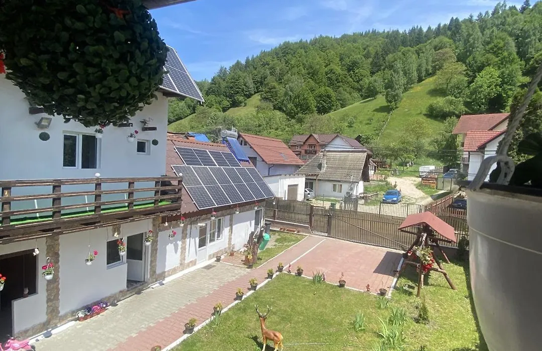 Casa Cipri Si Alex-1