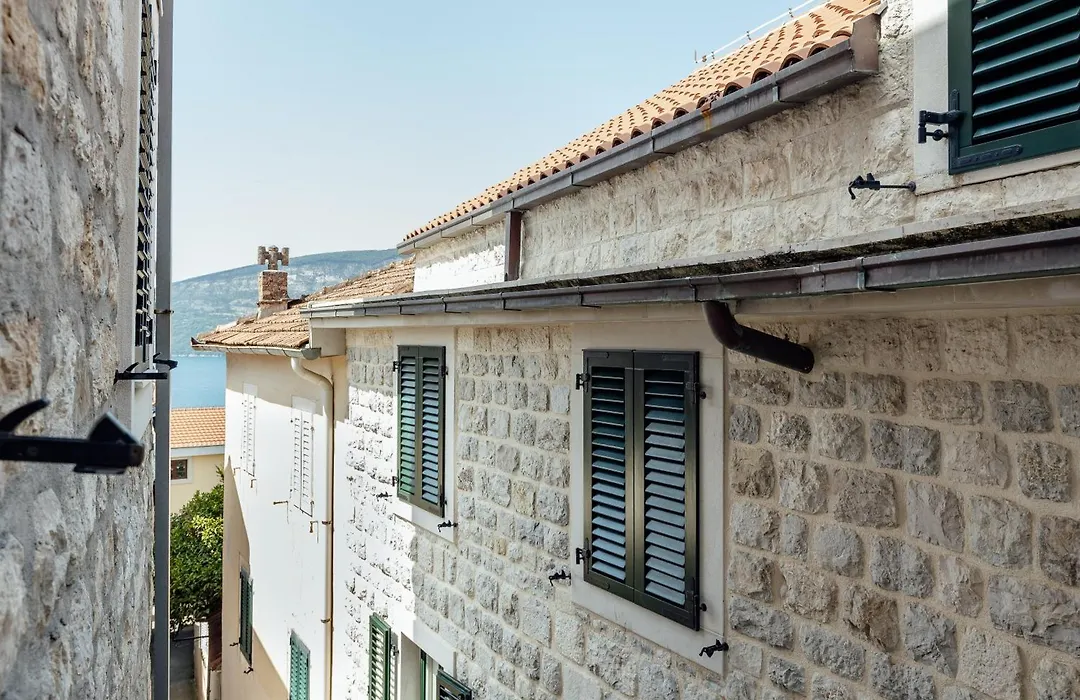 Guesthouse Villa Stari Grad-1