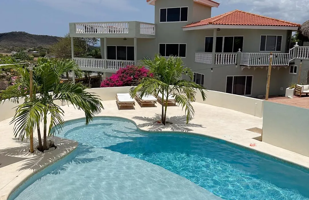 Palm View-1