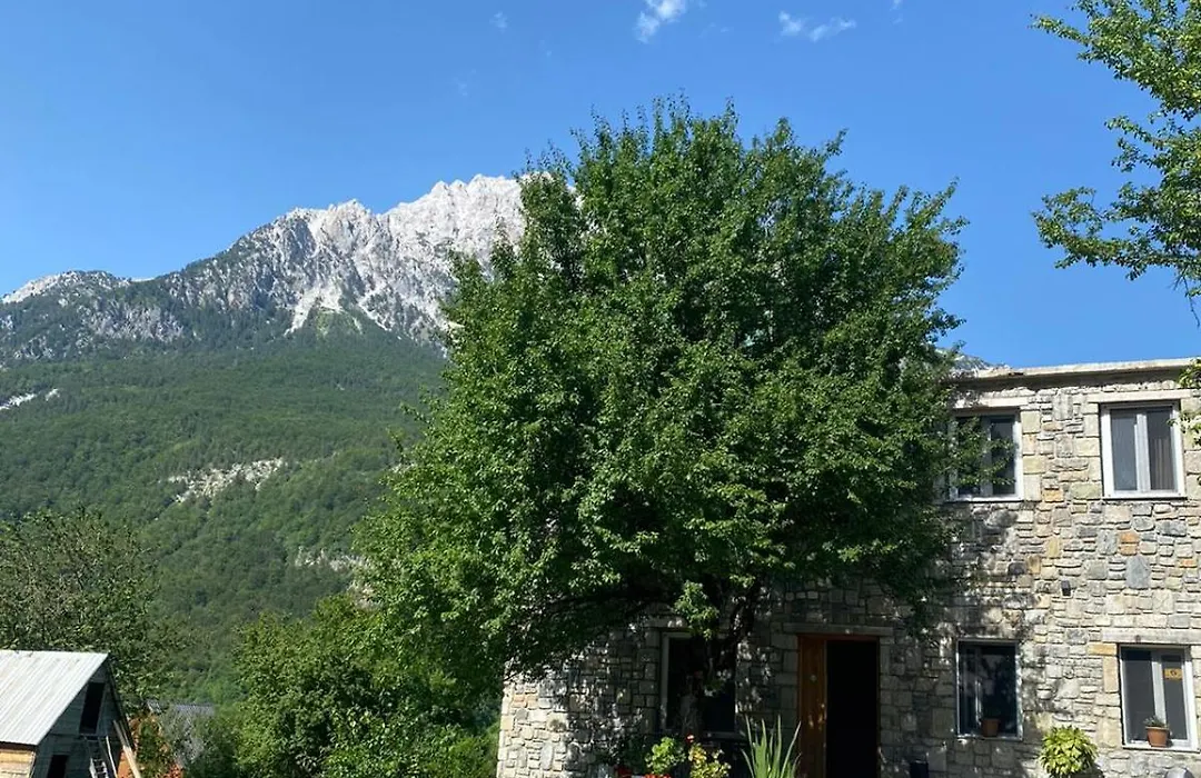 Guesthouse Dritan Tethorja-1