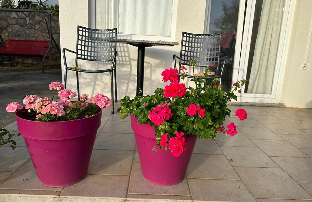 Villa Beba - Apartments-1