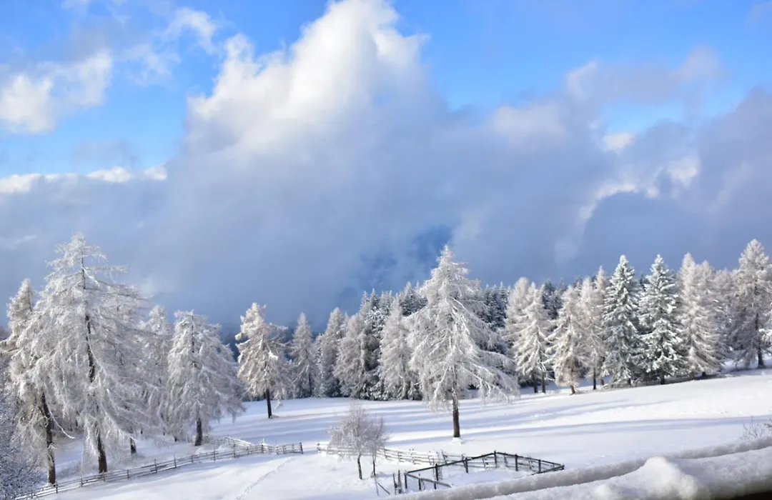 Gasthof Schmiederalm-1