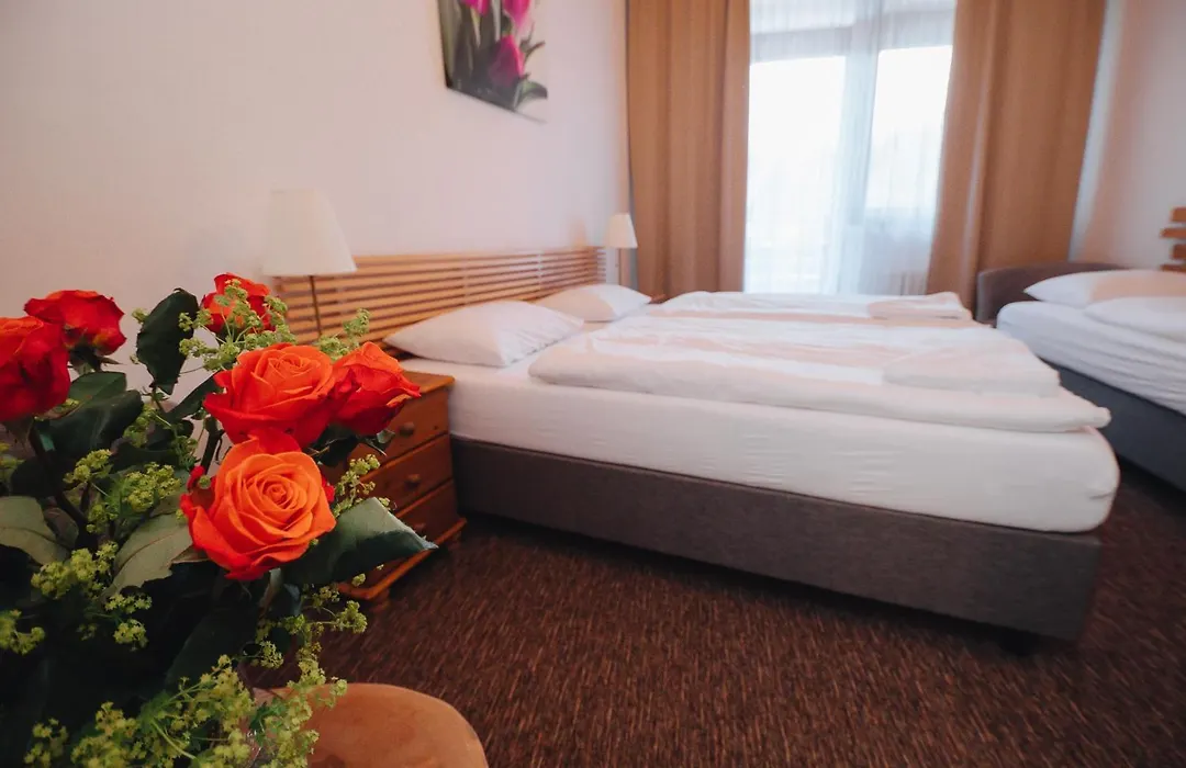 Pension Mona-1