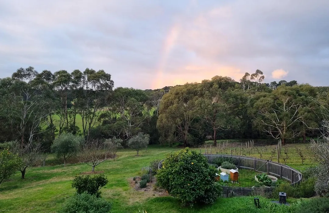 Peppercorn Cottage At Treetops Red Hill-1