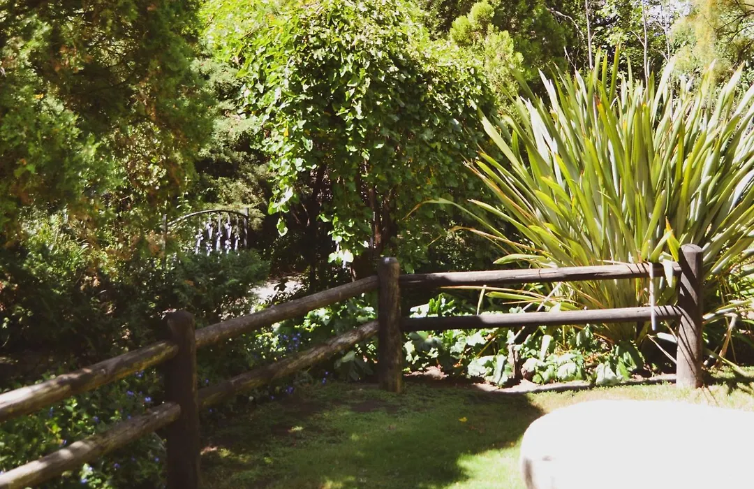 Pandora'S Guesthouse-1