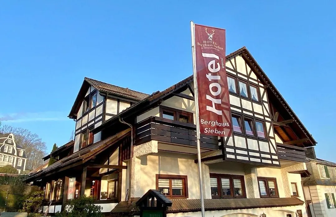 Hotel Pension Berghaus Sieben-1