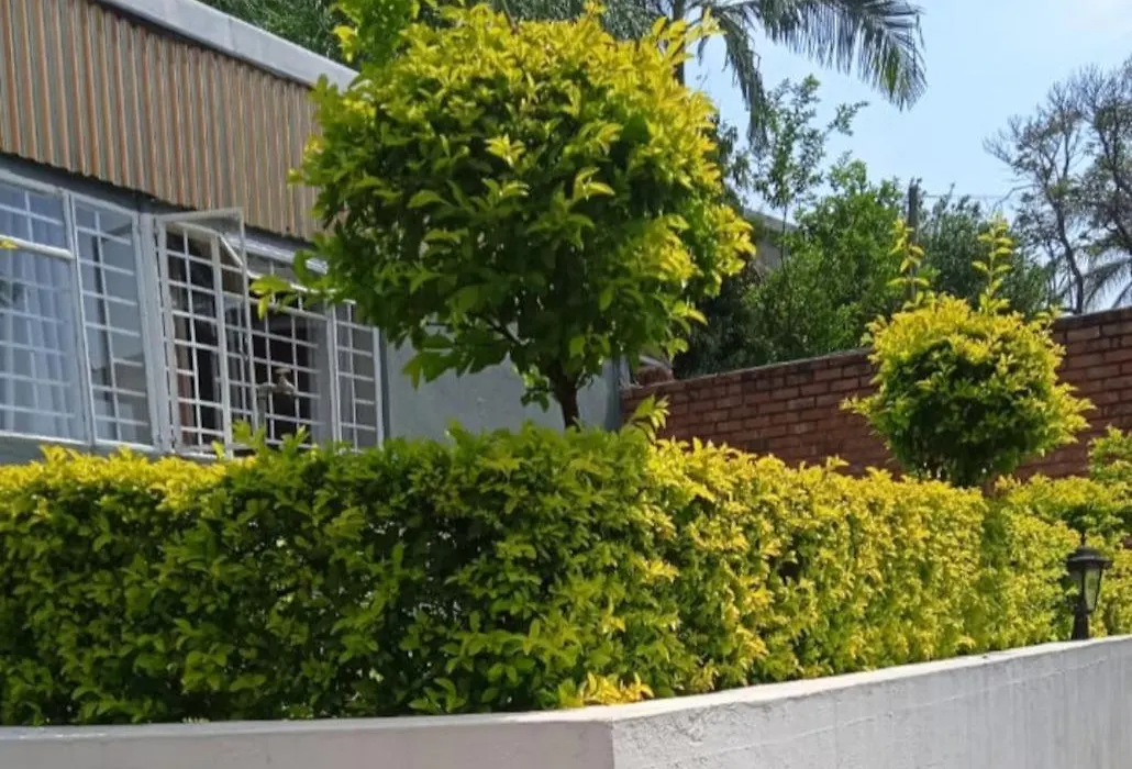Kaste Guesthouse Tzaneen-1