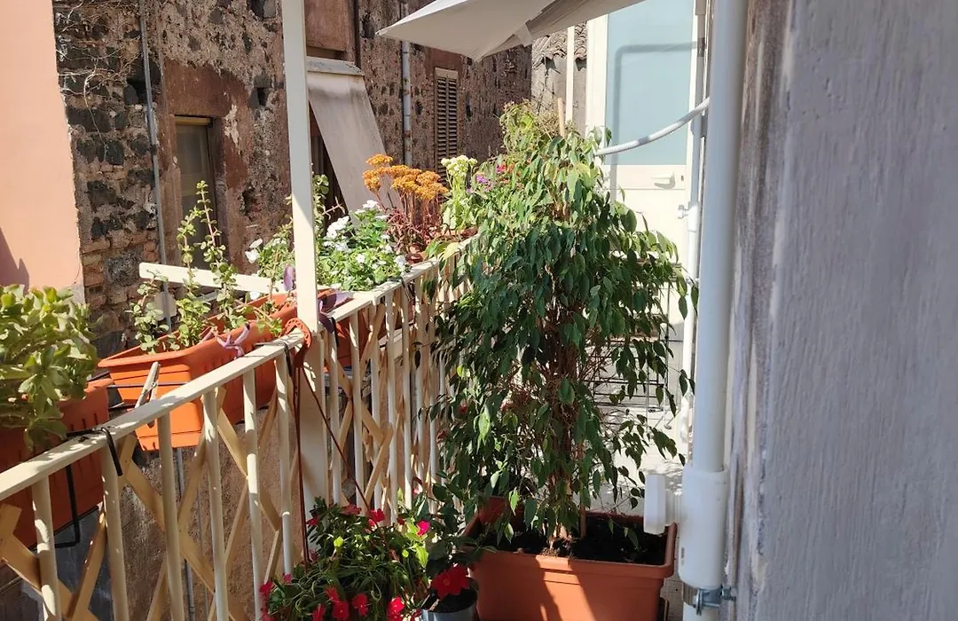 Carmen House-1
