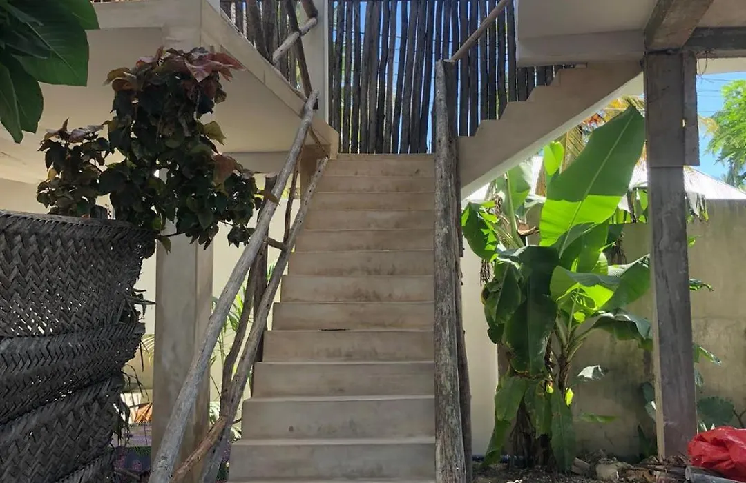 Gecko House-1
