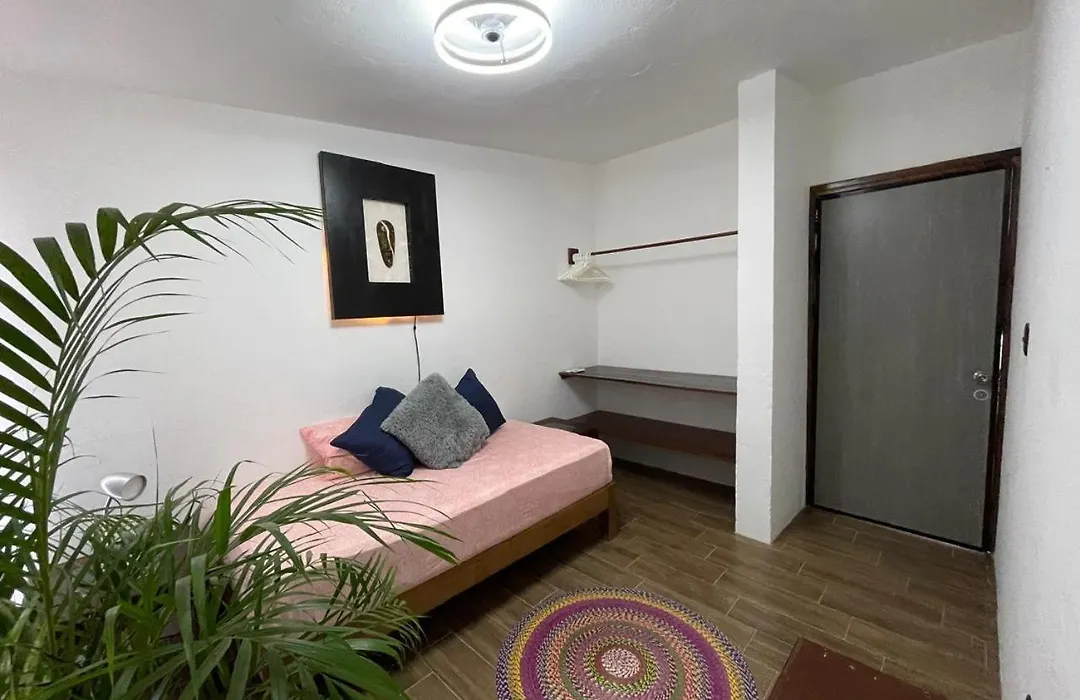 Casa Jaguares-1