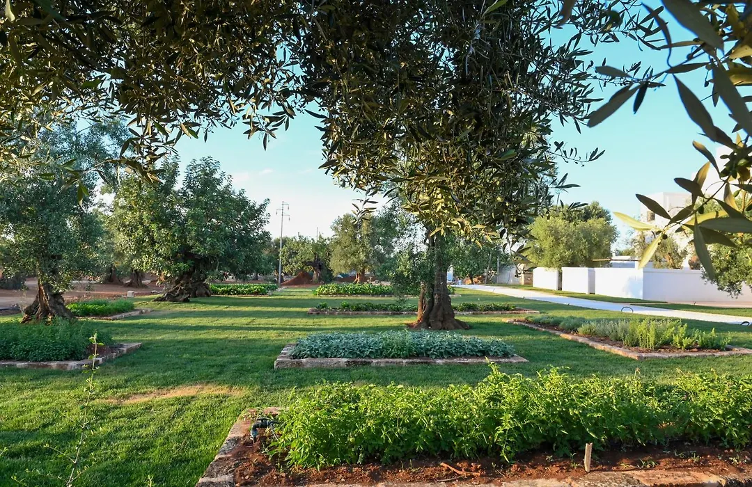 Masseria San Lorenzo Resort-1