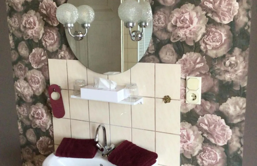 Pension „La Rose“-1