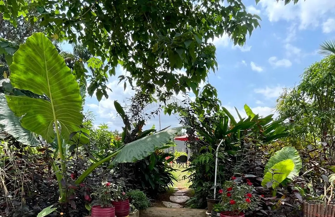 Bruks Guest House-1