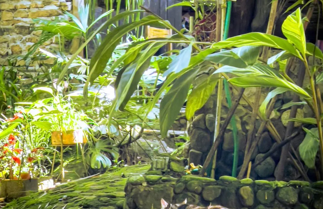 Casa Del Pozo Azul - Minca-1
