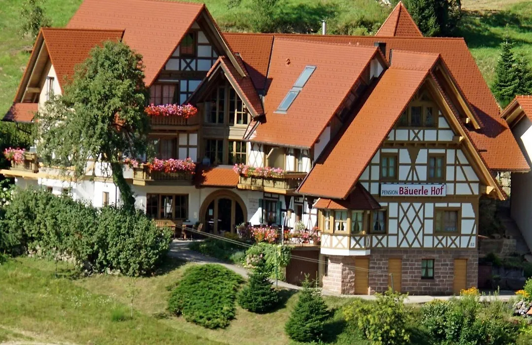 Bäuerlehof-1