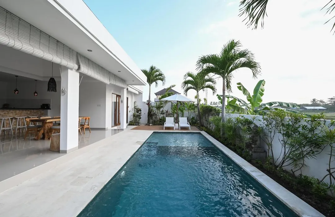 Party Villa Bali-1