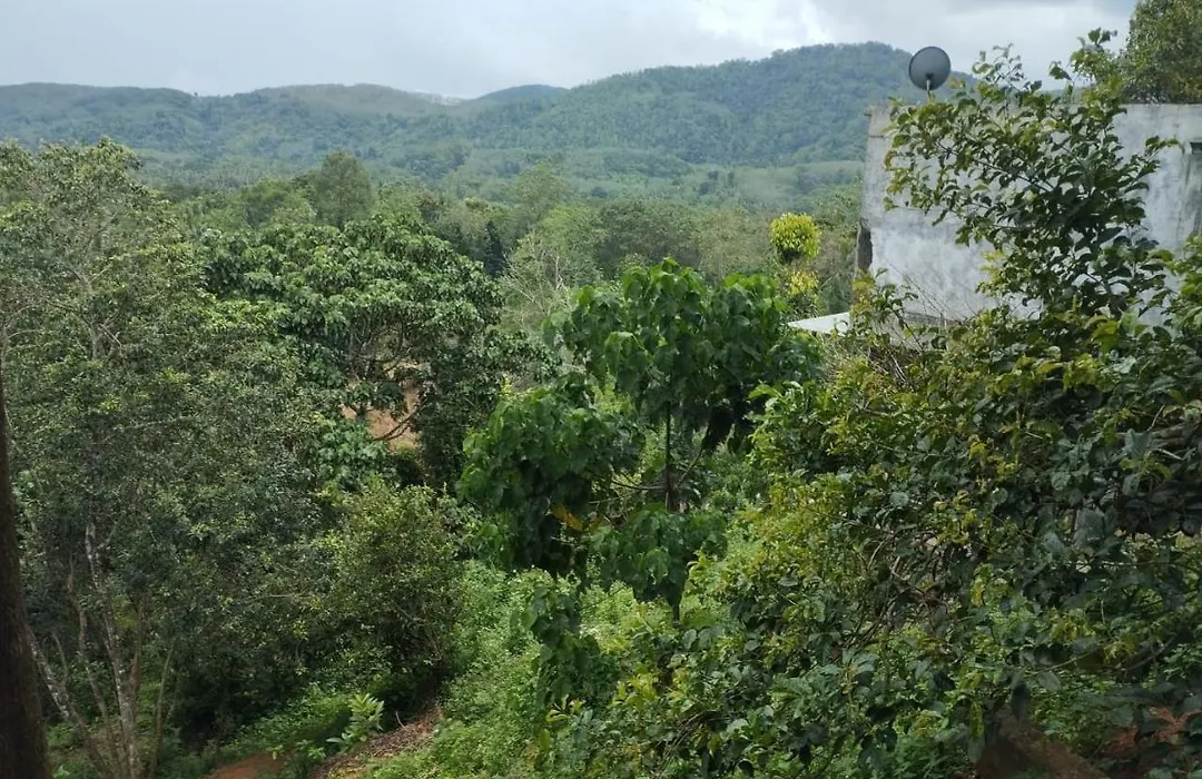 Bogala Village Eco Resort-1