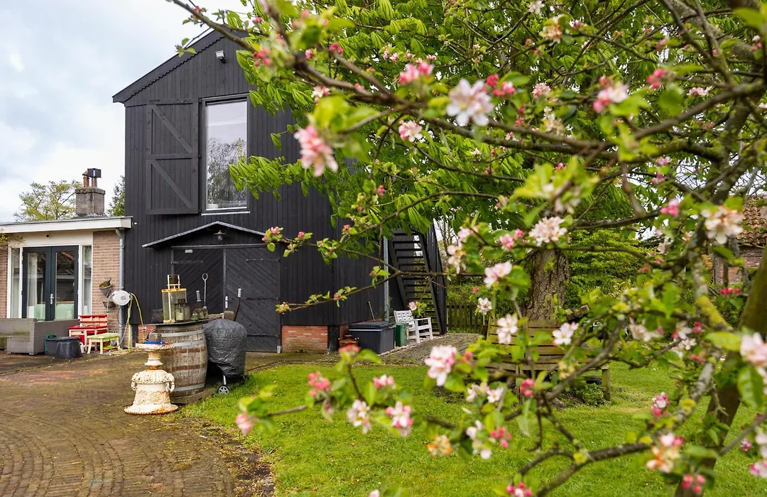 Studio Hooischuur Alkmaar/Bergen-1