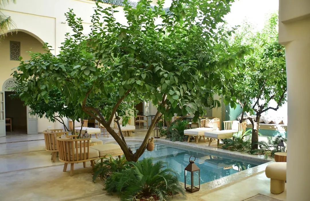 Riad Emberiza Sahari-1
