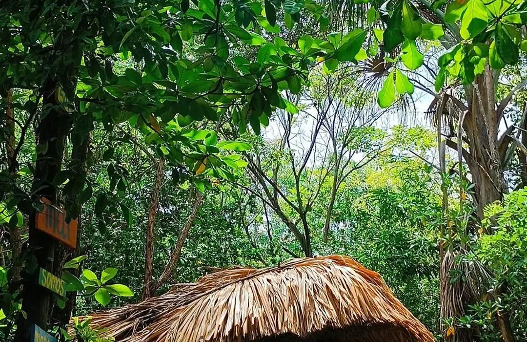 El Viejo del Mar-1