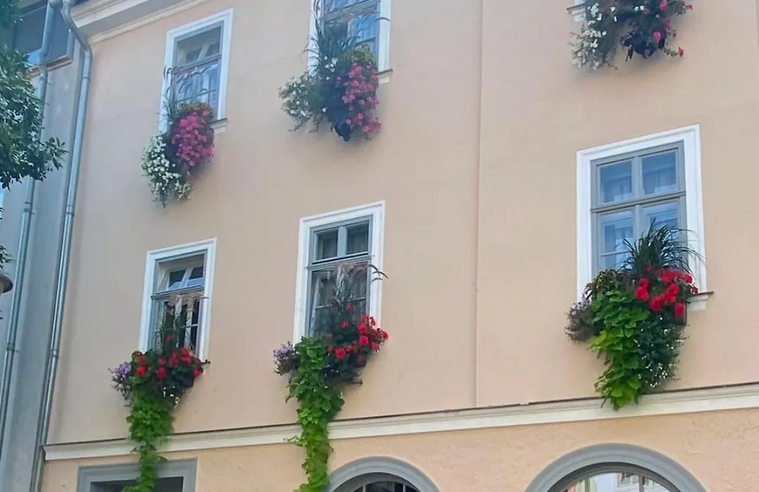 Pension Altstadt-1