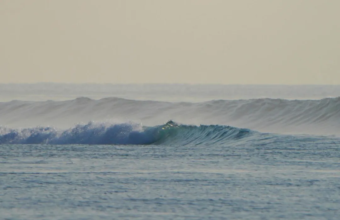 Sun & Surf-1