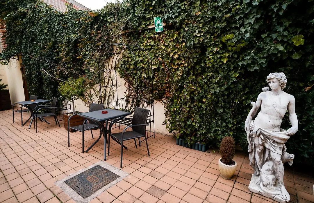 Rosen Villa Sibiu-1