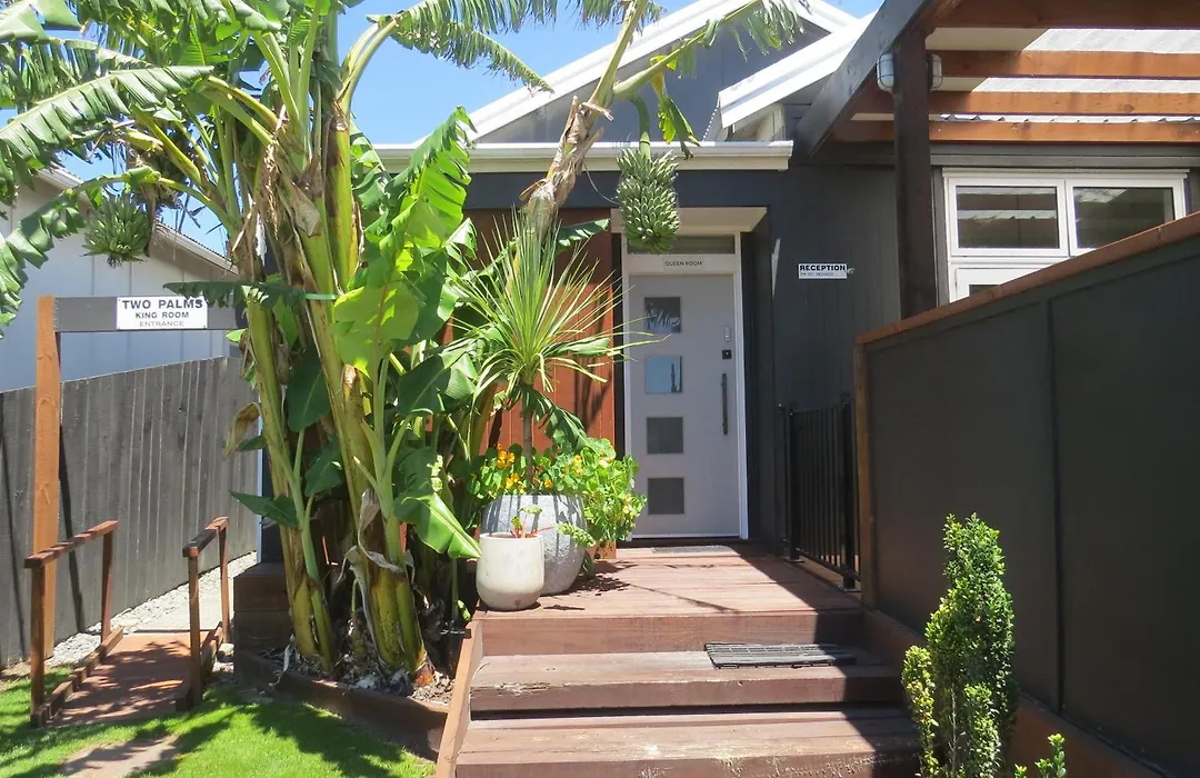Two Palms-1